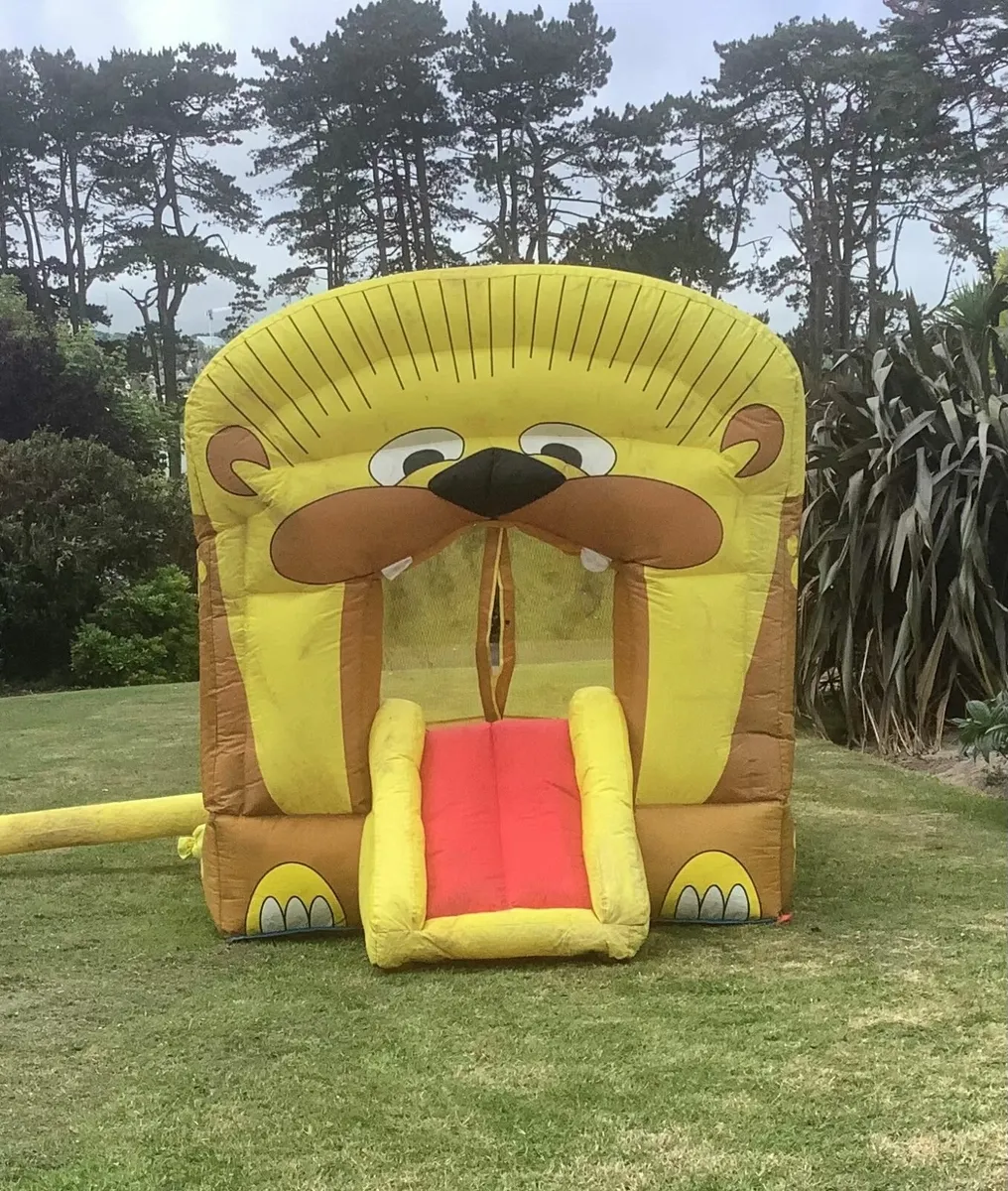 Bouncy Castle - Image 1