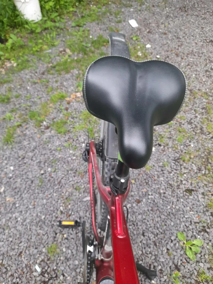 E bike - Image 2