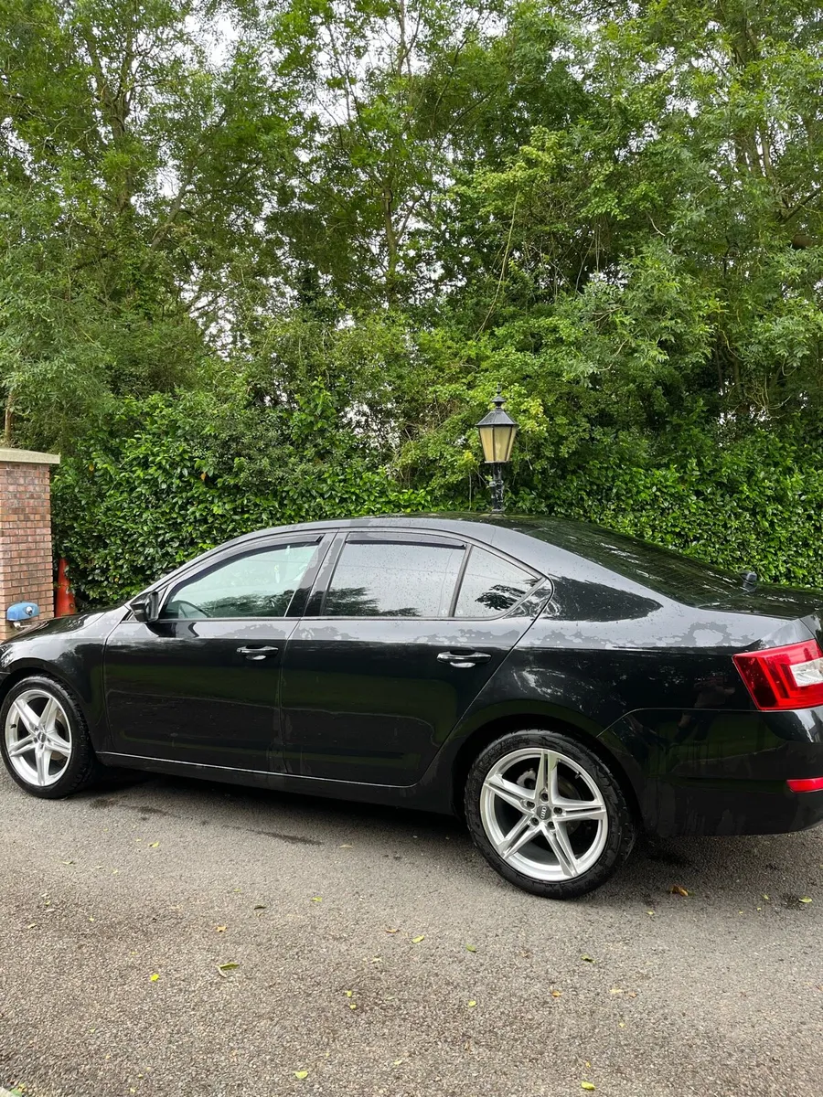 Skoda Octavia 1.6tdi DSG - Image 3