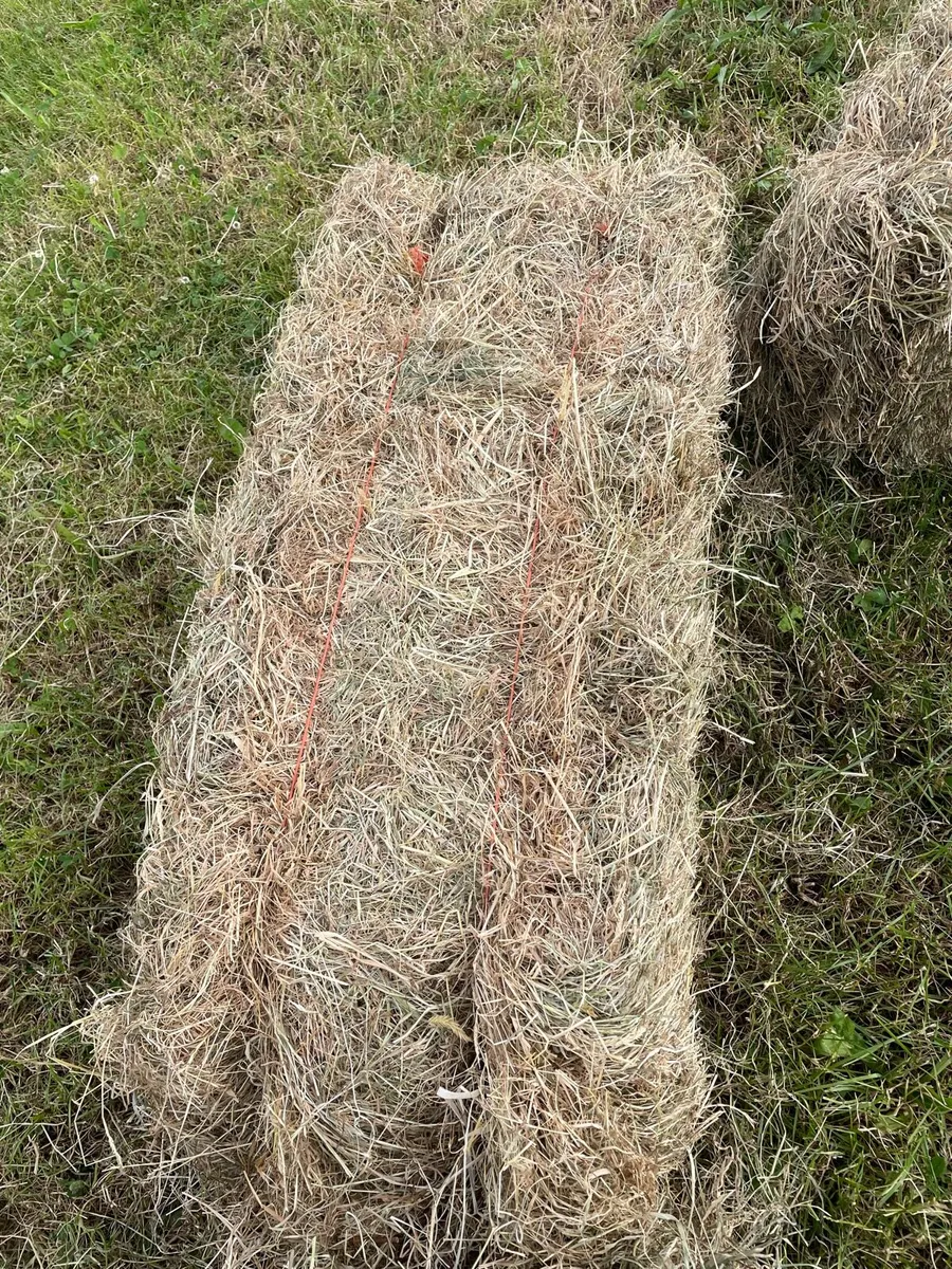 Small bales of hay - Image 1