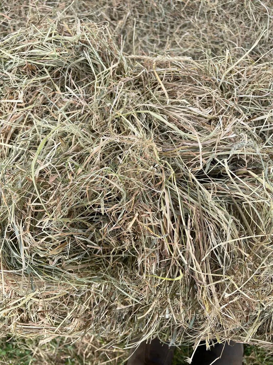Small bales of hay - Image 3