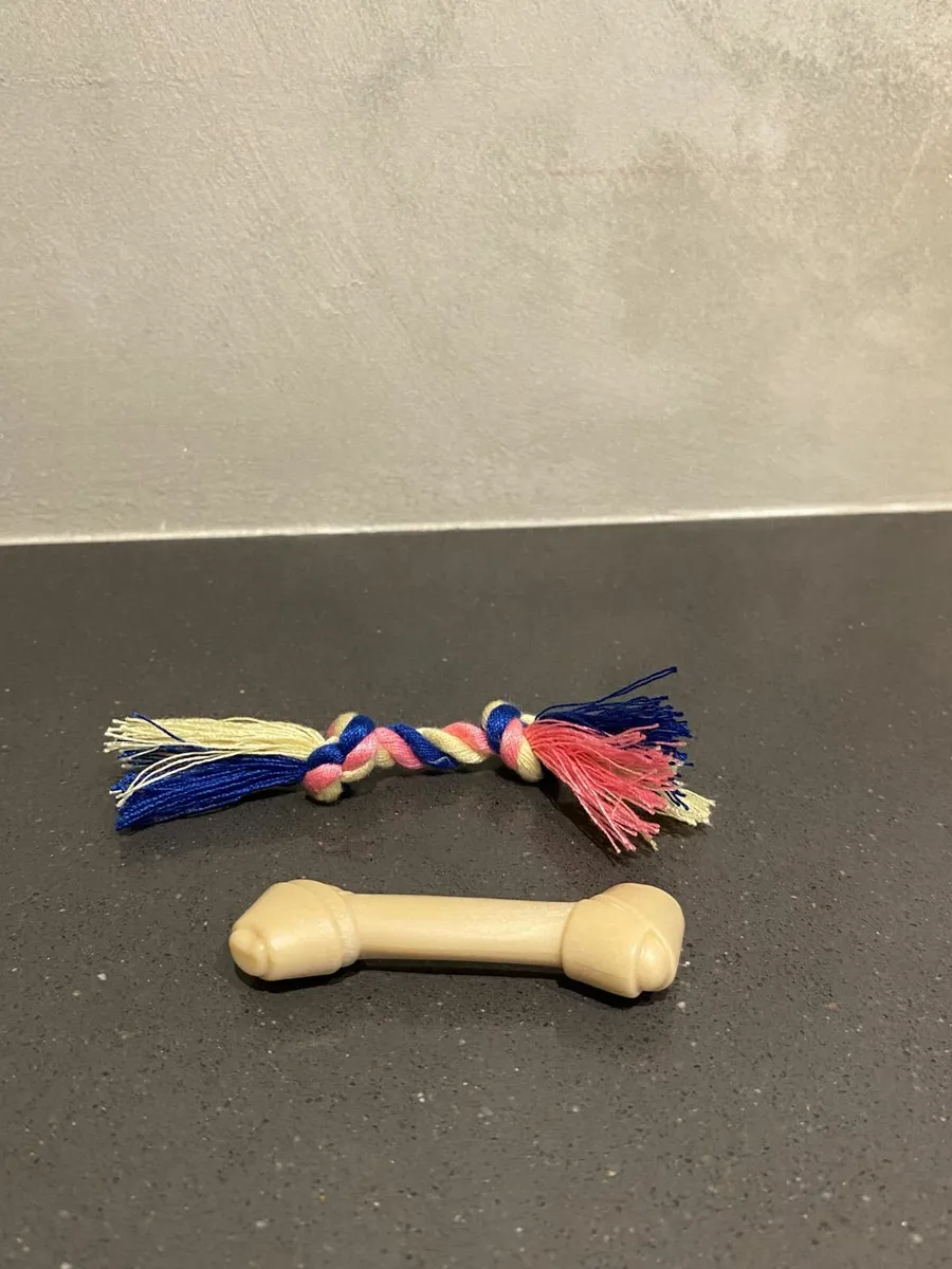 Our Generation Pet Care Set - Image 2