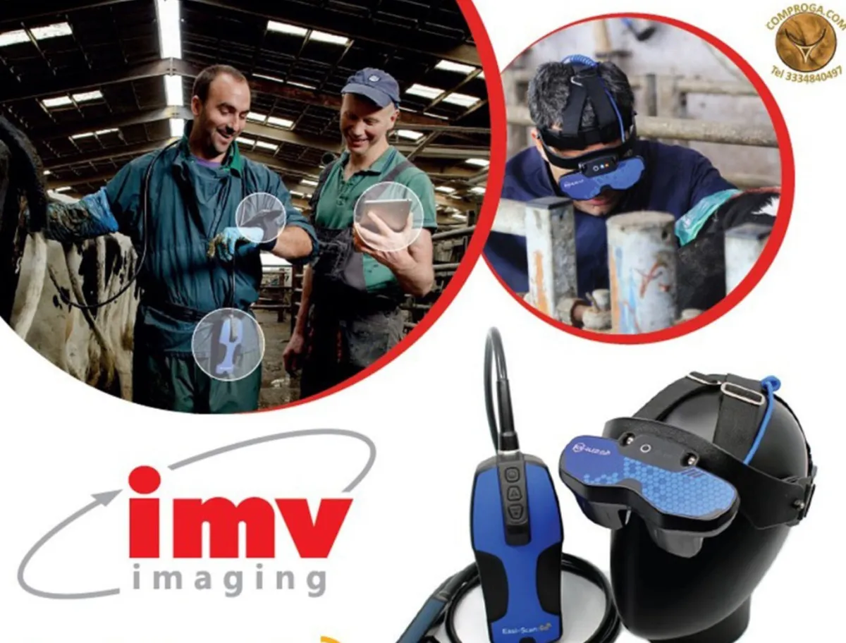 Ultrasound Scanning - latest scanning tech used - Image 2