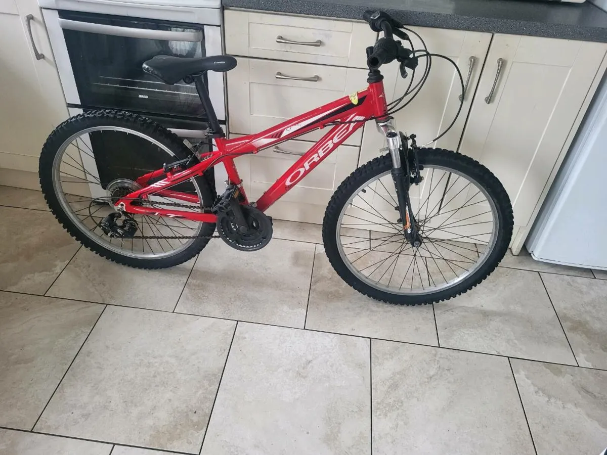 Mountain bike - Image 1