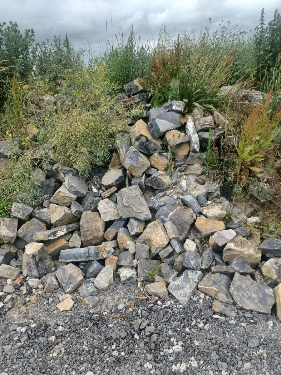 Building Limestone - Image 2