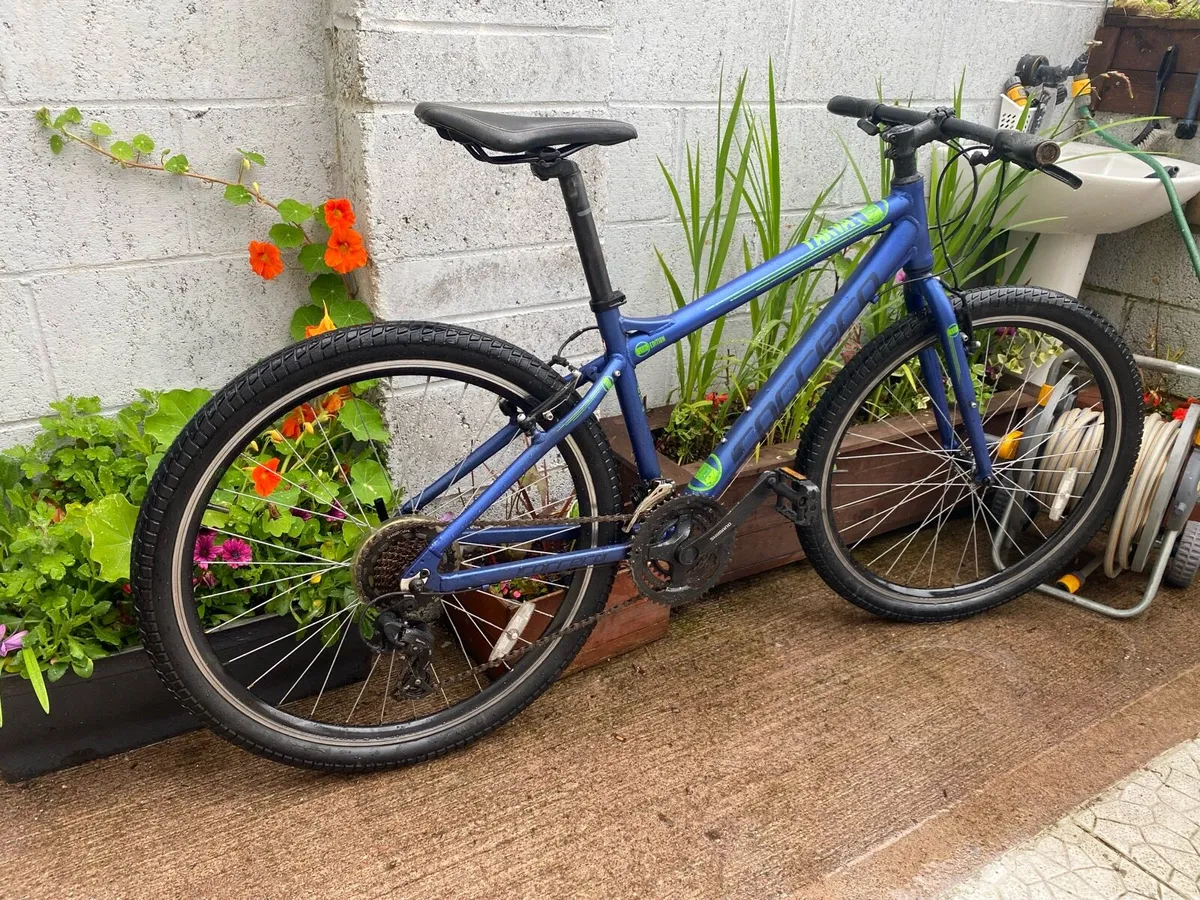 Carrera PARVA LTD 27.5 Inch wheels 21 speed - Image 2