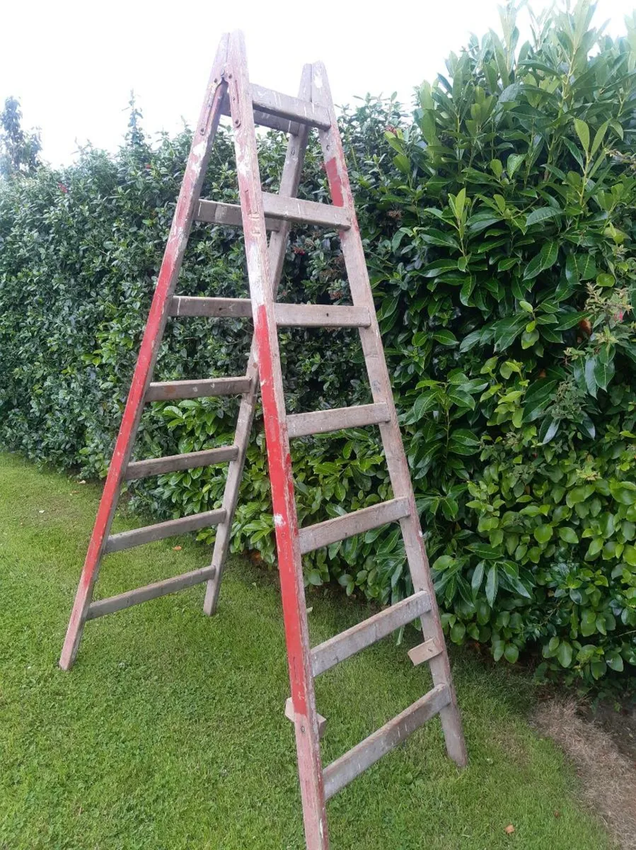 Wooden ladder - Image 1