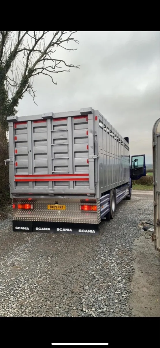 Scania P310 Cattle truck - Image 1