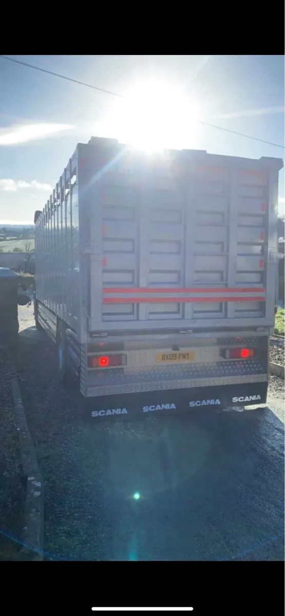 Scania P310 Cattle truck - Image 2