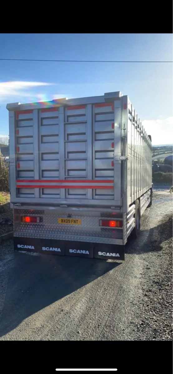 Scania P310 Cattle truck - Image 3