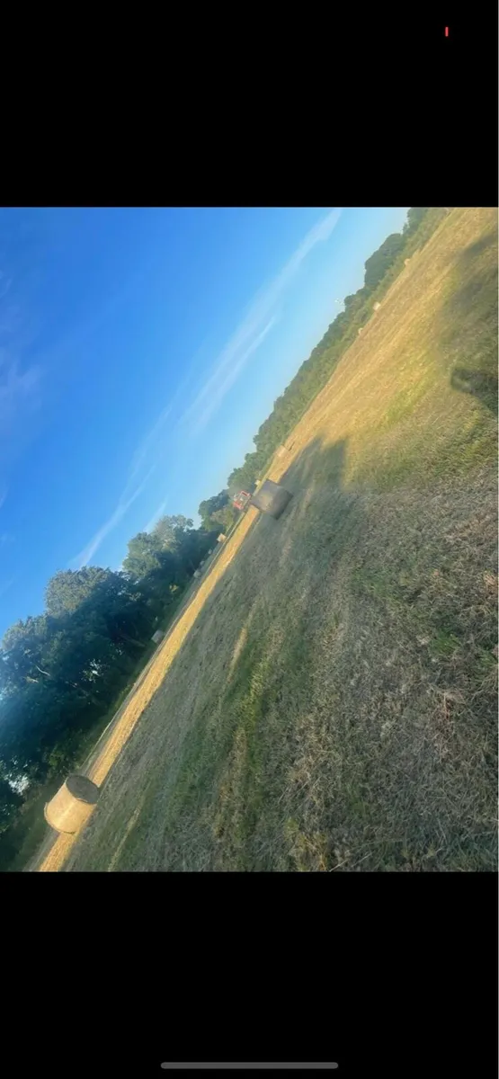 Hay for sale - Image 2