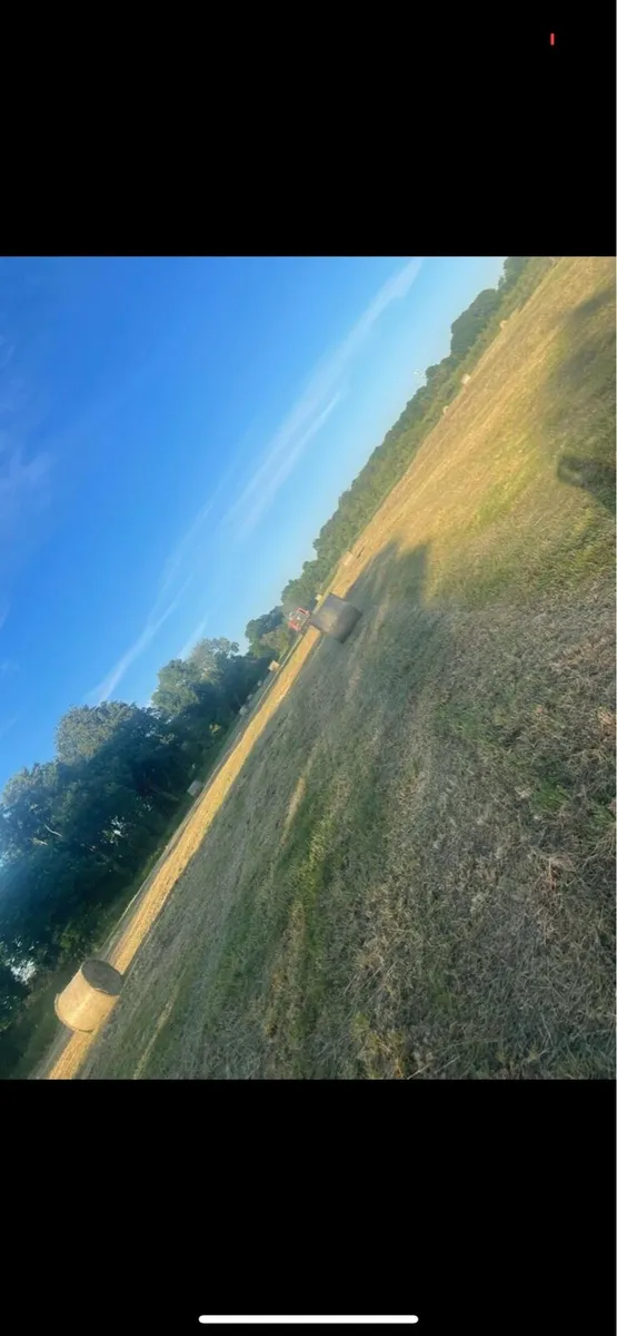 Hay for sale - Image 3