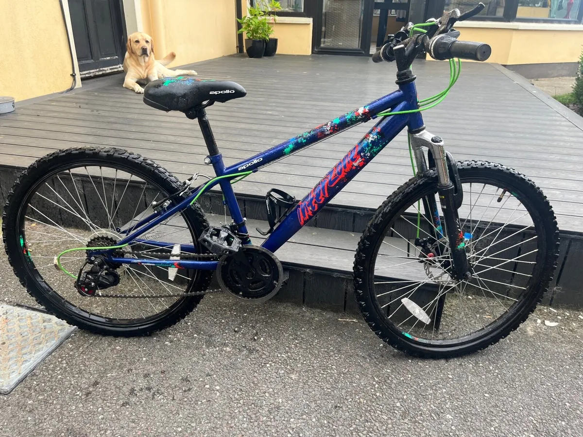 Children's Mountain Bike - Image 1