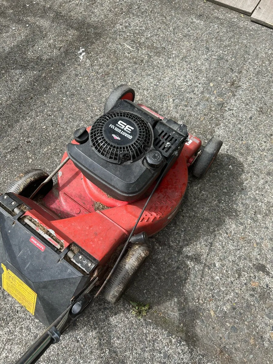 Lawn moer - Image 2