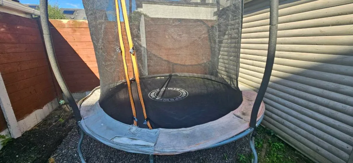 FREE trampoline - Image 3