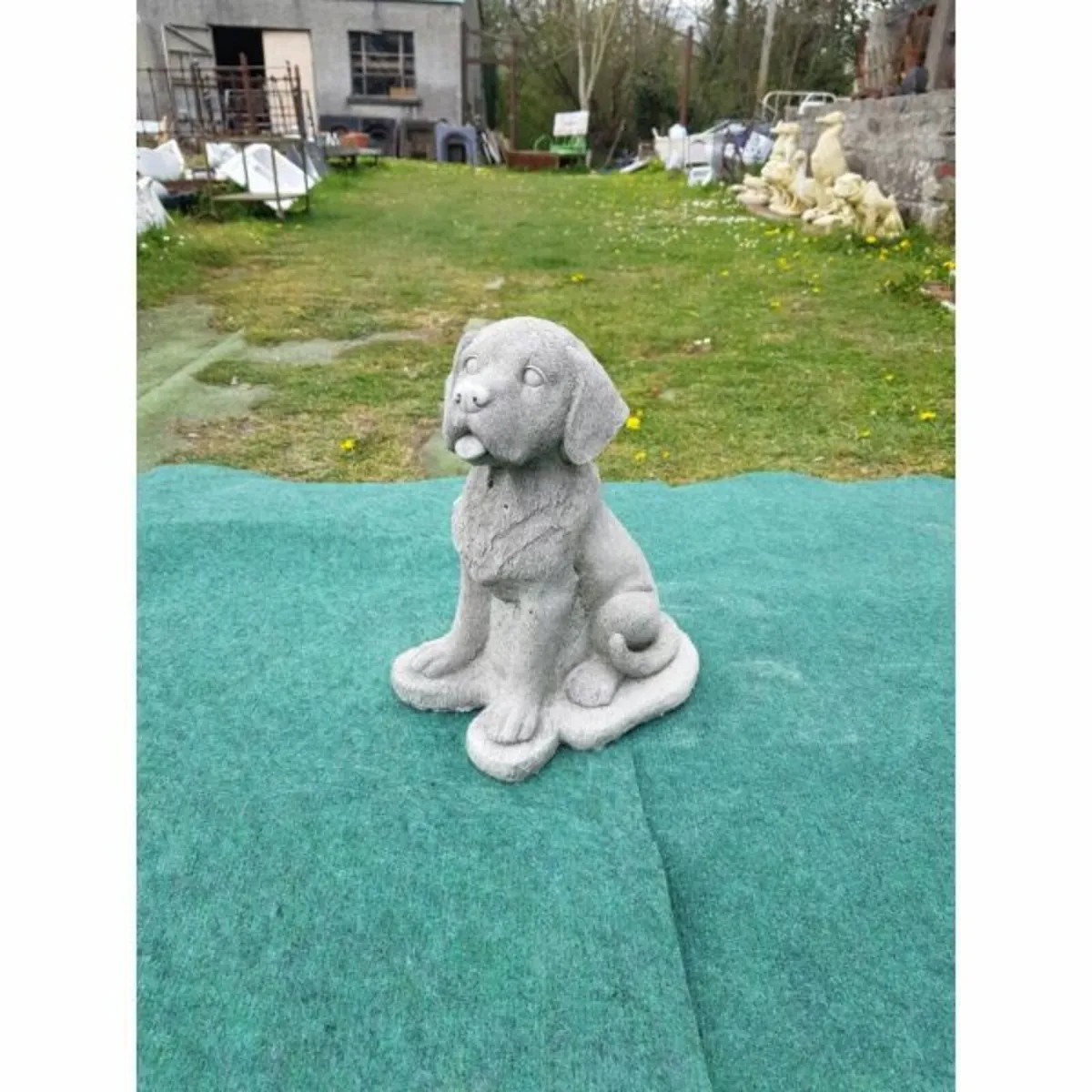 Dog – Tongue out – DS031