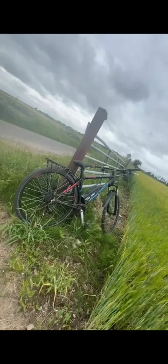 Electric Bike - Image 4