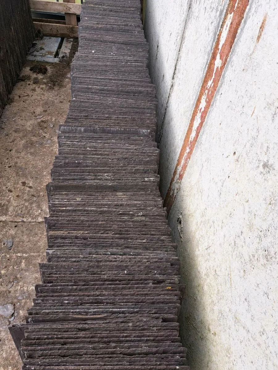 465 qty 22x12 Reclaimed Bangor Blue Slates - Image 2