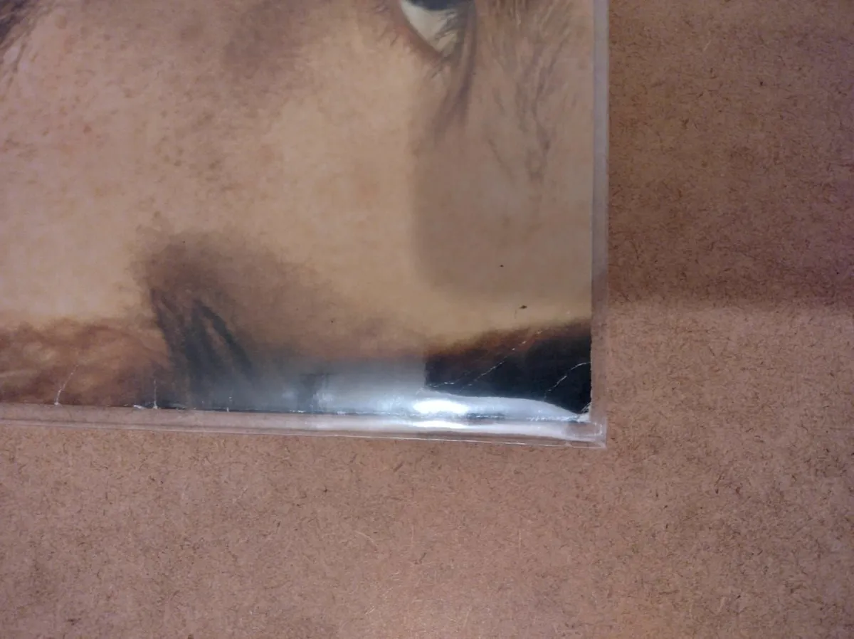 LP Album 12" Crystal Clear Poly-PRO Cover Sleeves! - Image 4