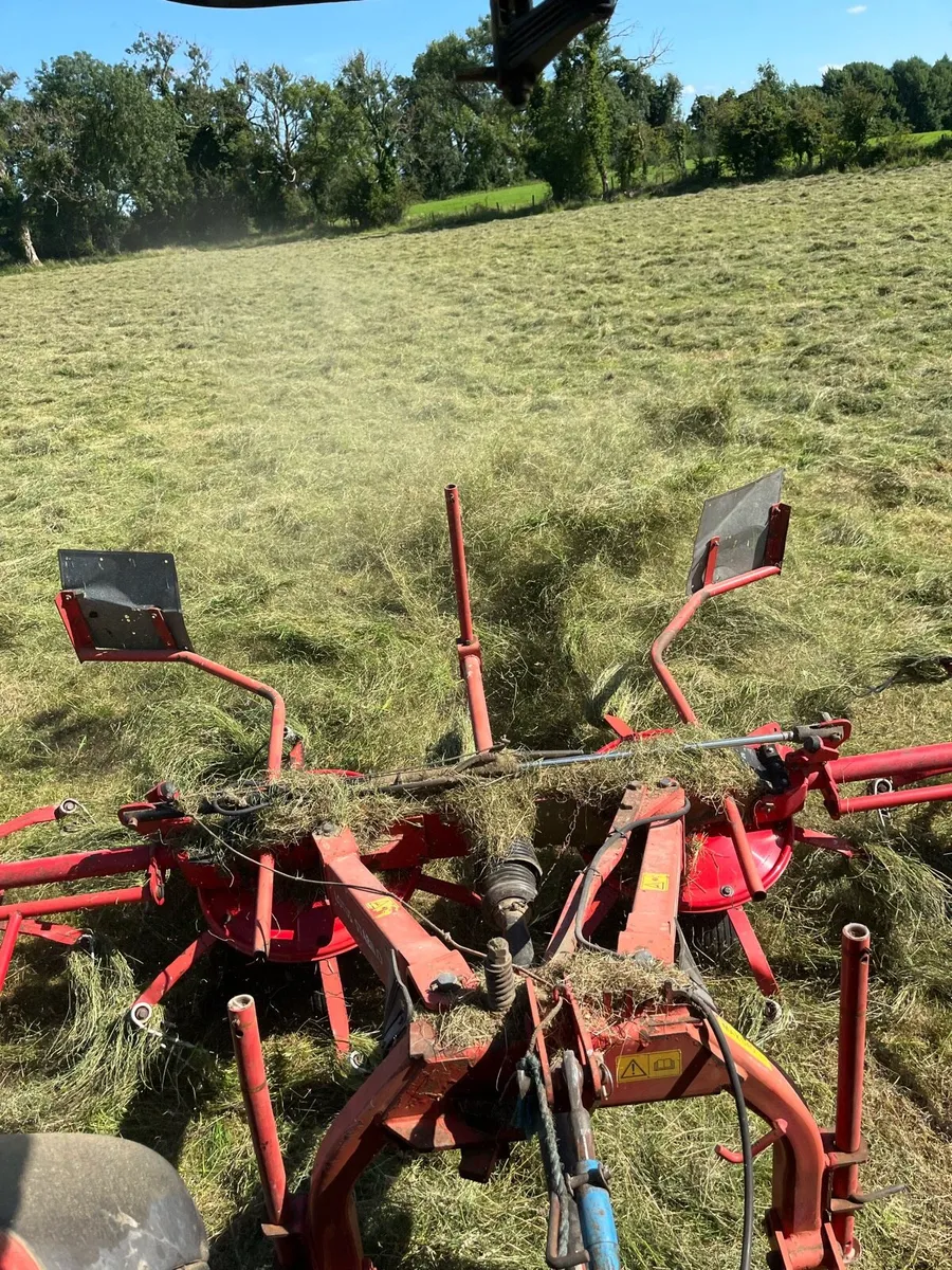 Horse/sheep hay - Image 2