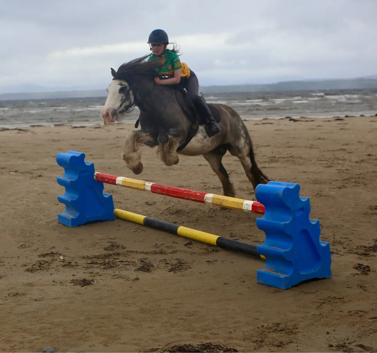 13hh 9yo bombproof starter pony - Image 1