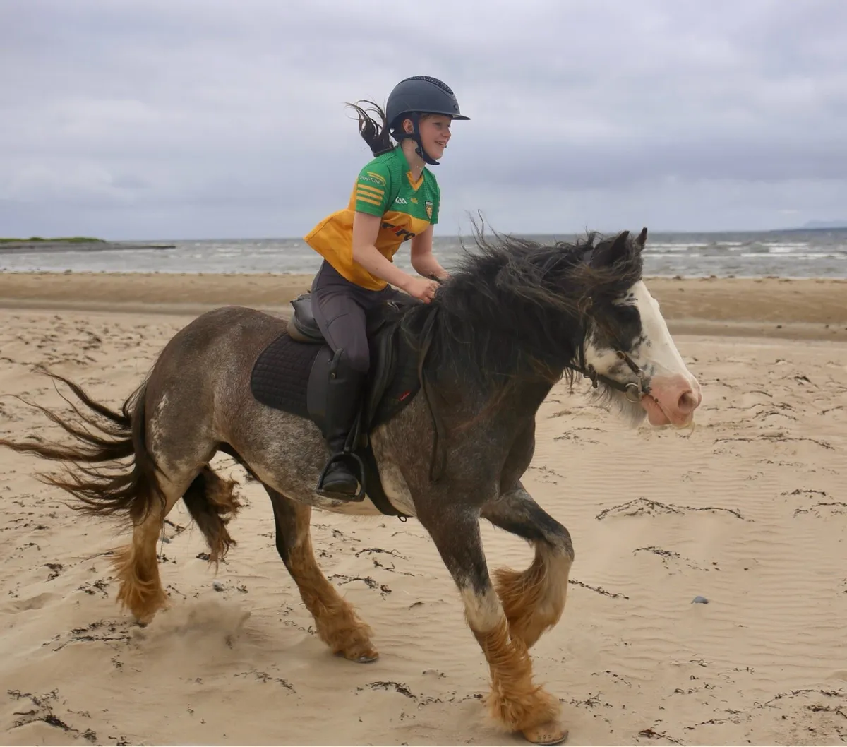 13hh 9yo bombproof starter pony - Image 2