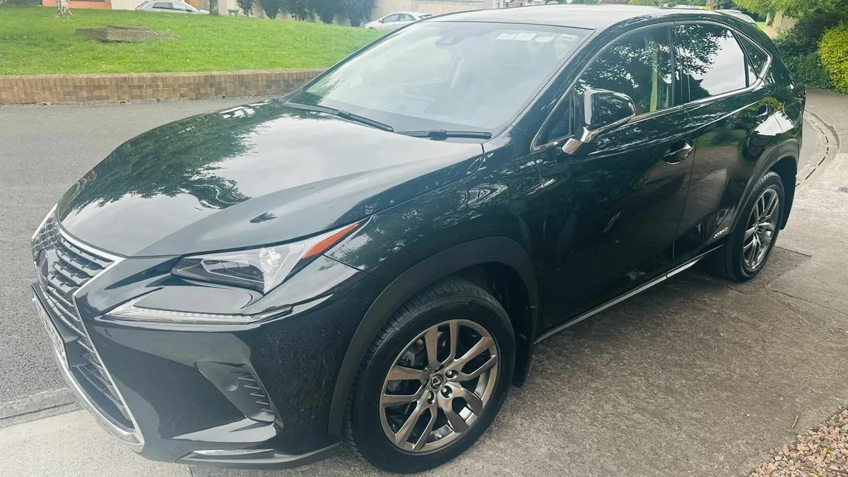 Lexus NX 300 H 2.5 SE 4WD AUTO2019 - Image 3