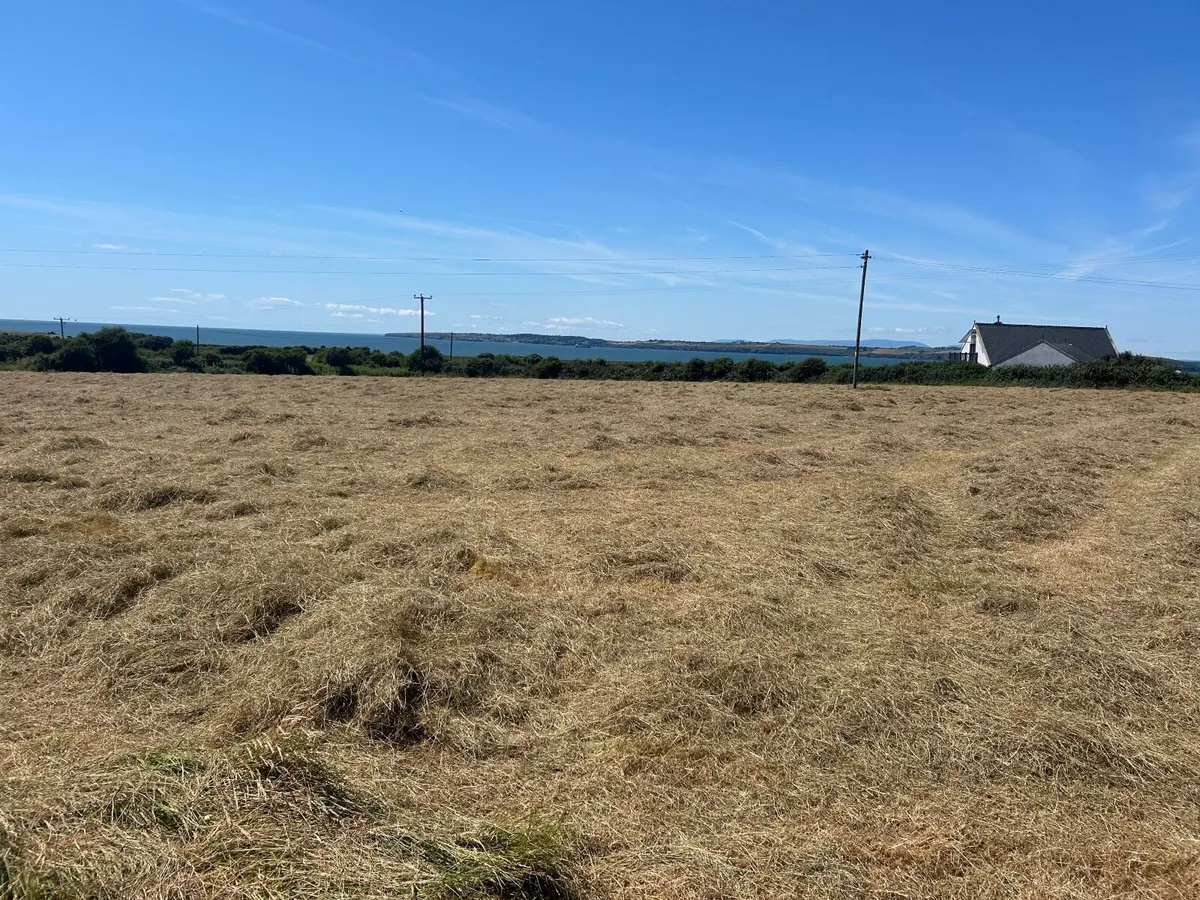 70 Bales of Hay - Image 1