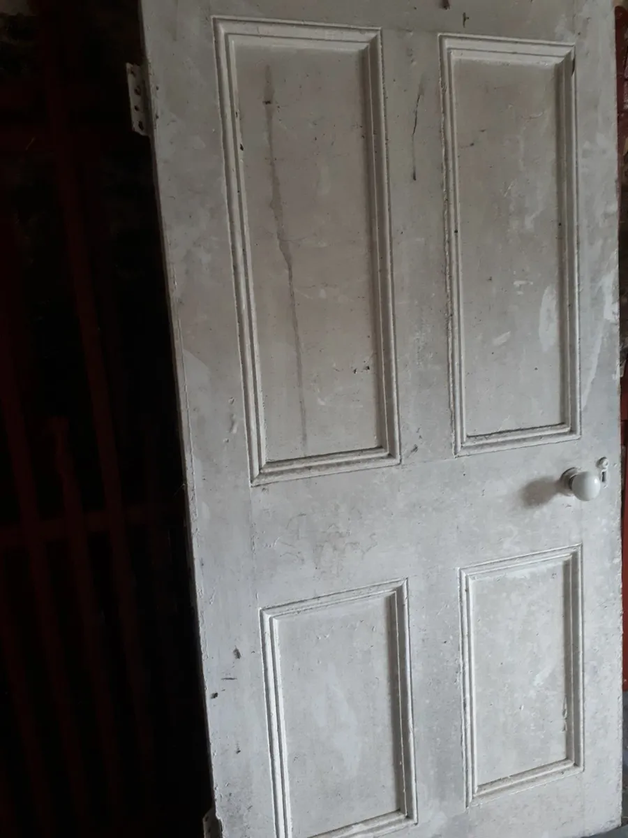 Antique doors - Image 1