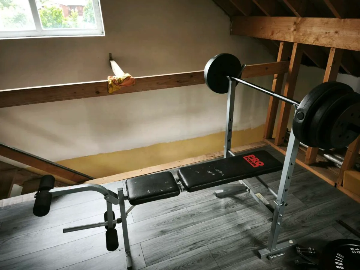 Pro power weight bench - Image 1