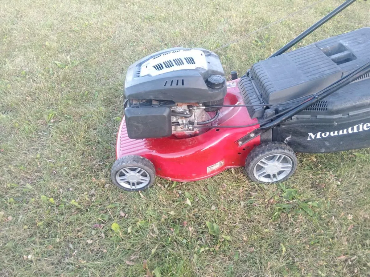 Lawnmowers - Image 2