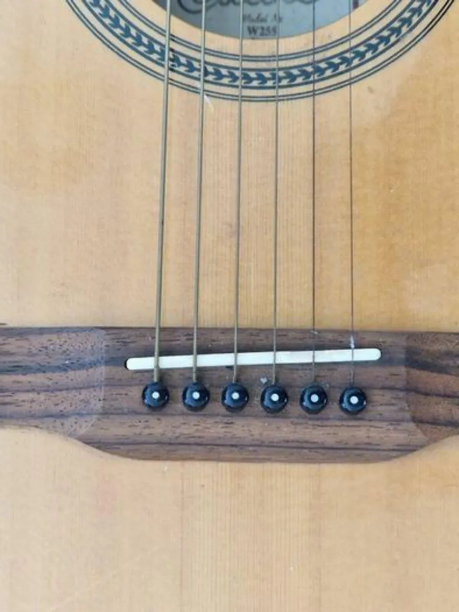 Encore W255 Acoustic Guitar - Image 4