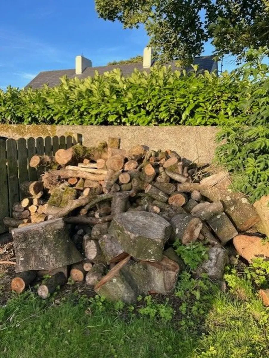 Firewood - Image 1