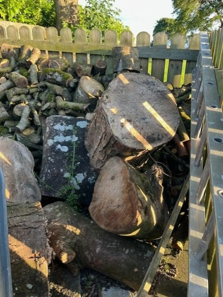Firewood - Image 2