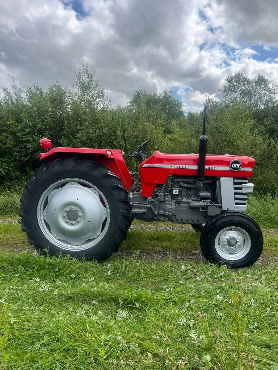 Massey Ferguson 165 - Image 2