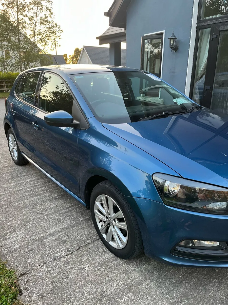Blue polo 161 D - Image 1