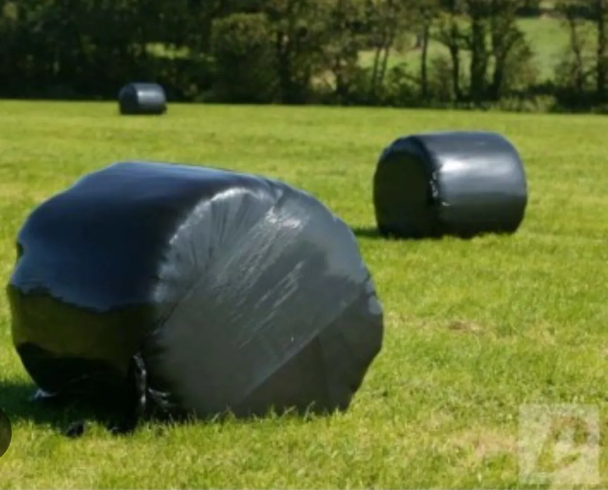 Silage bales
