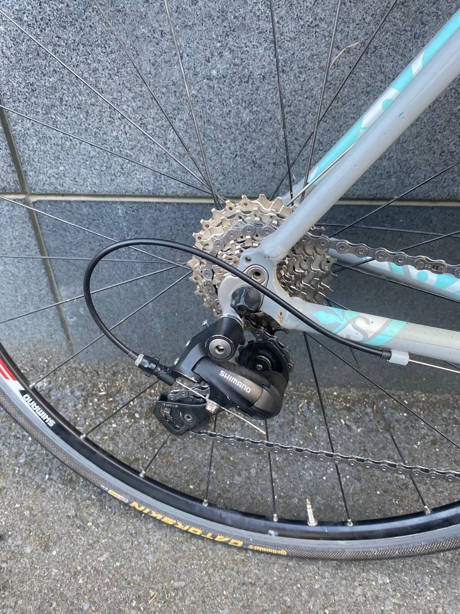 Trek road bike - Image 2