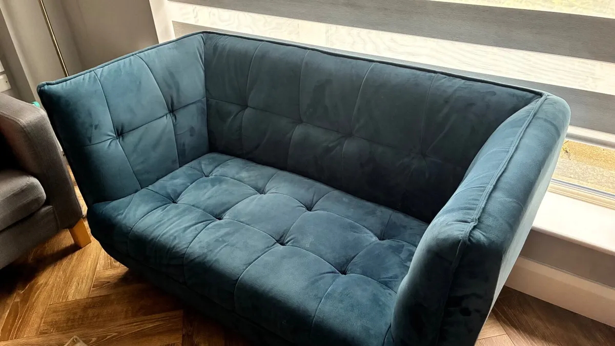 Velvet Two Seater couch - Image 4