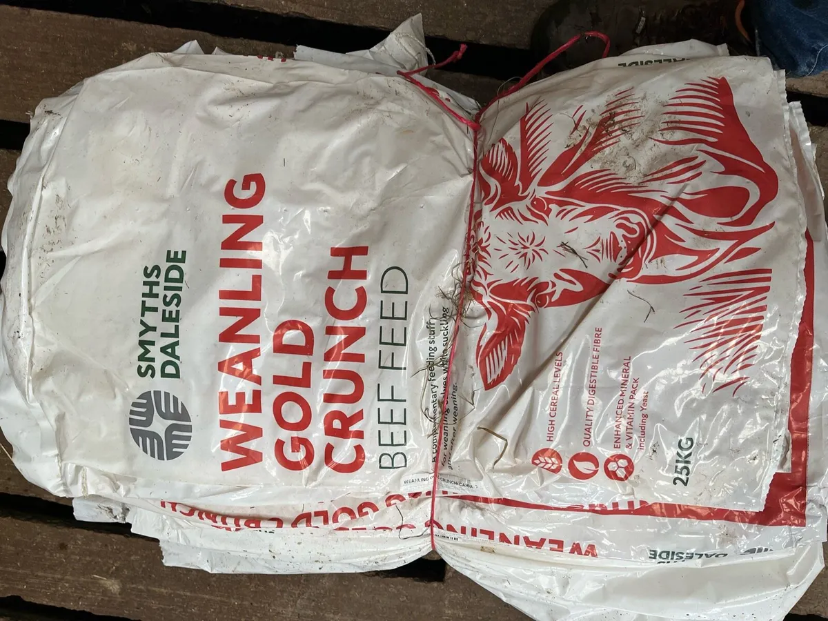 Plastic bags - Image 2