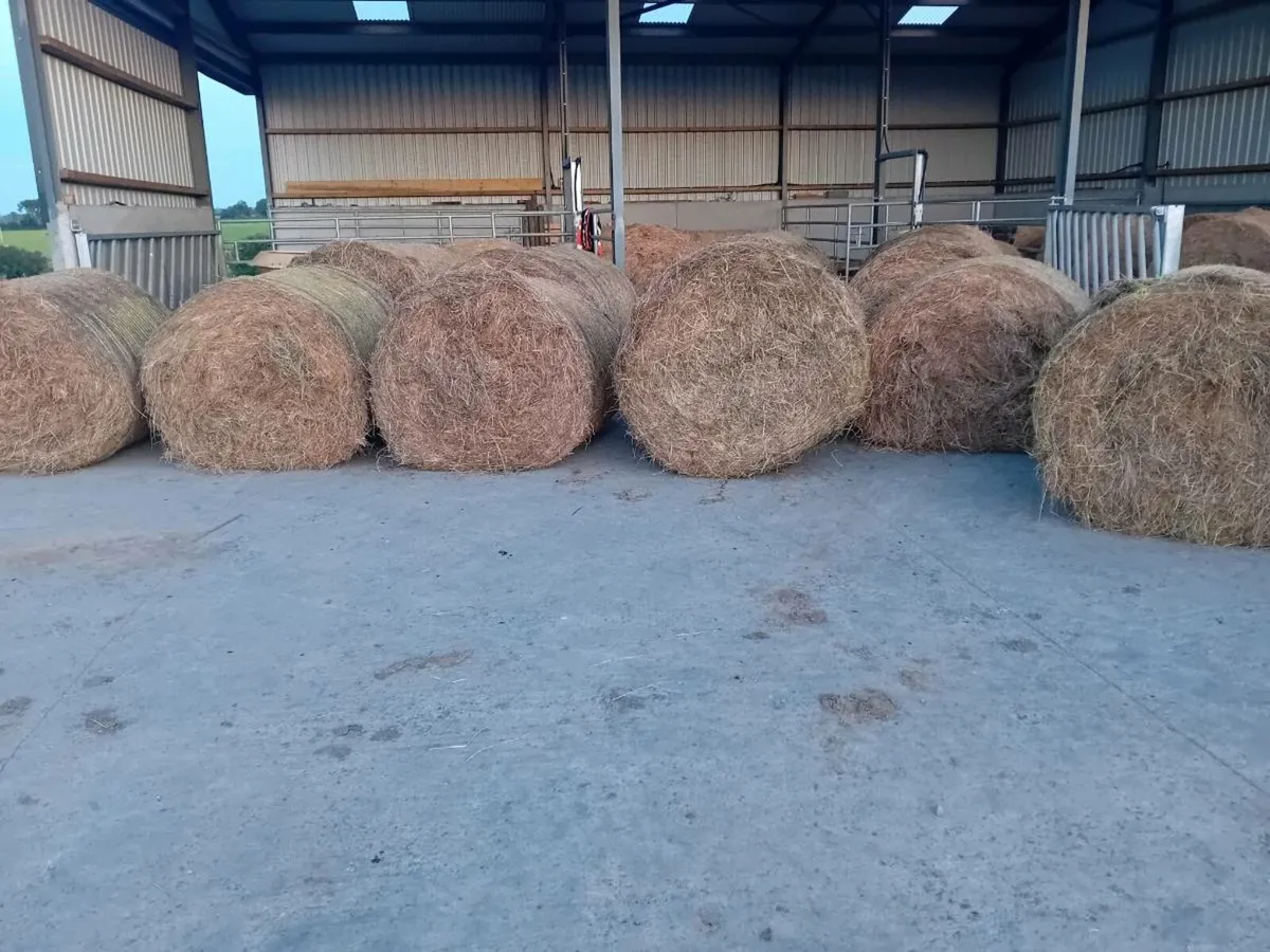 15 bales of Hay - Image 1