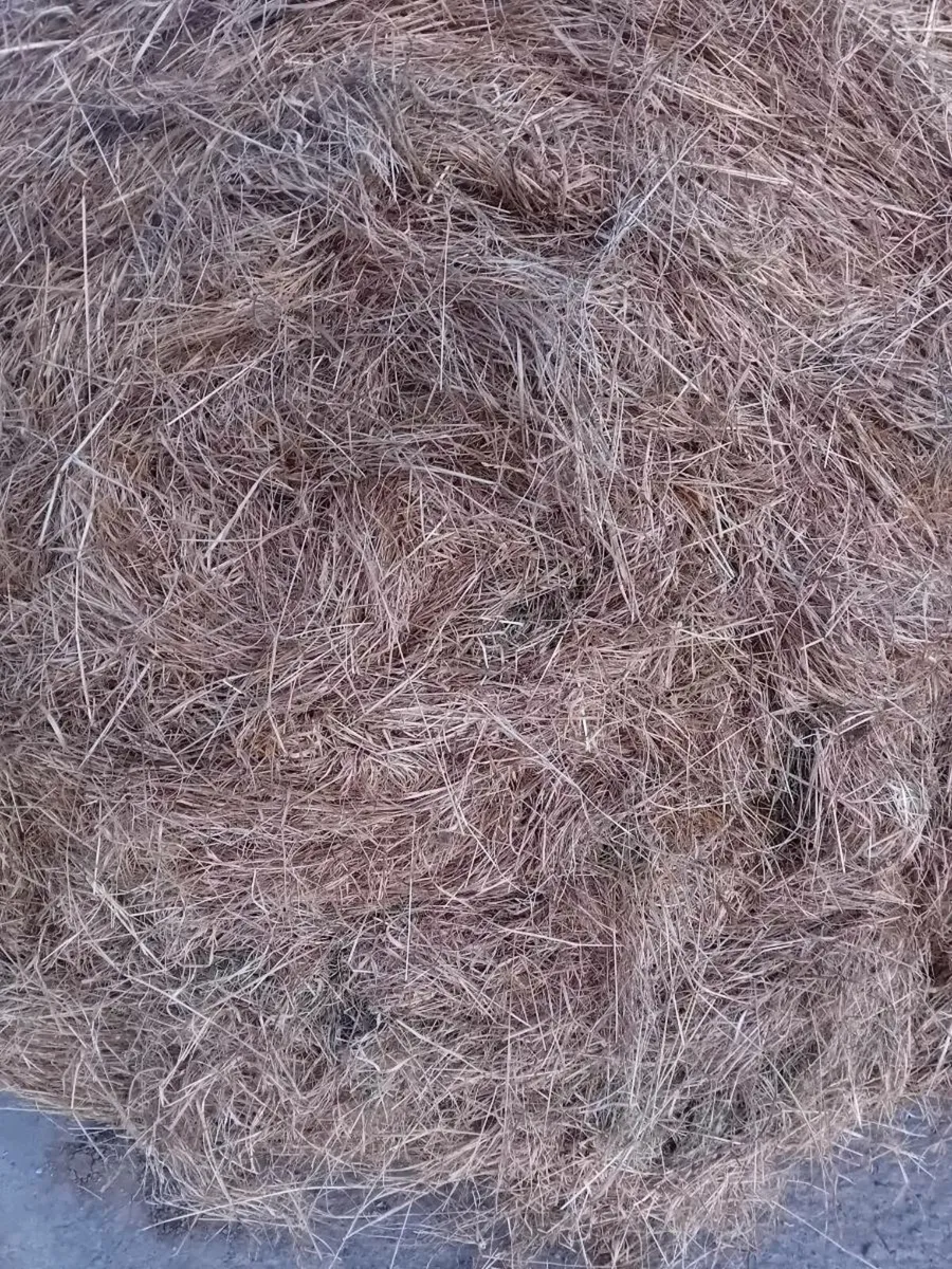15 bales of Hay - Image 2
