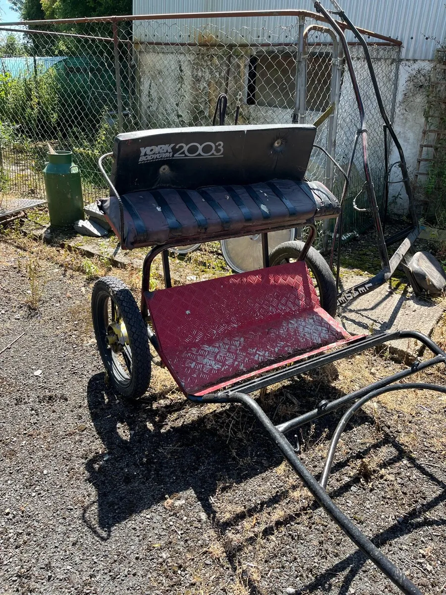 Road  cart - Image 1