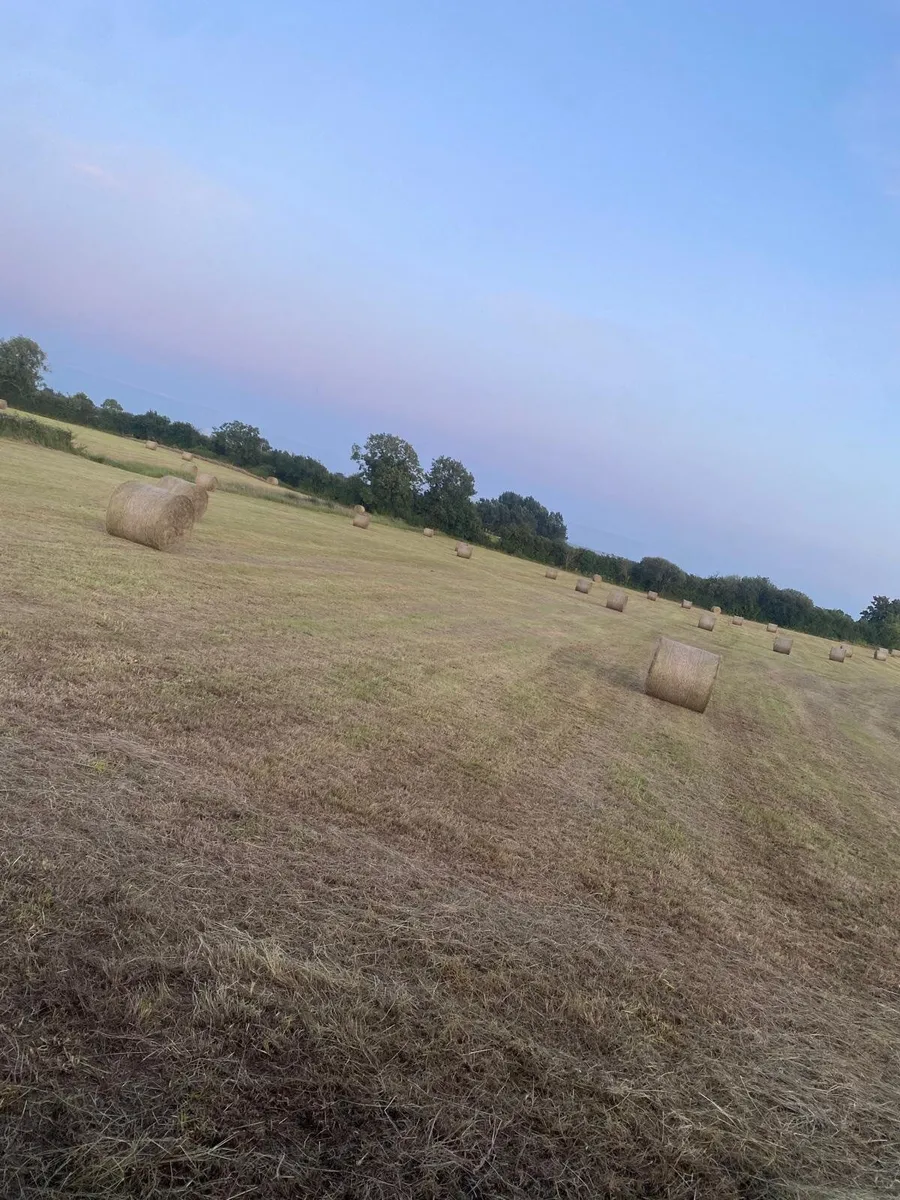 Hay For Sale - Image 1