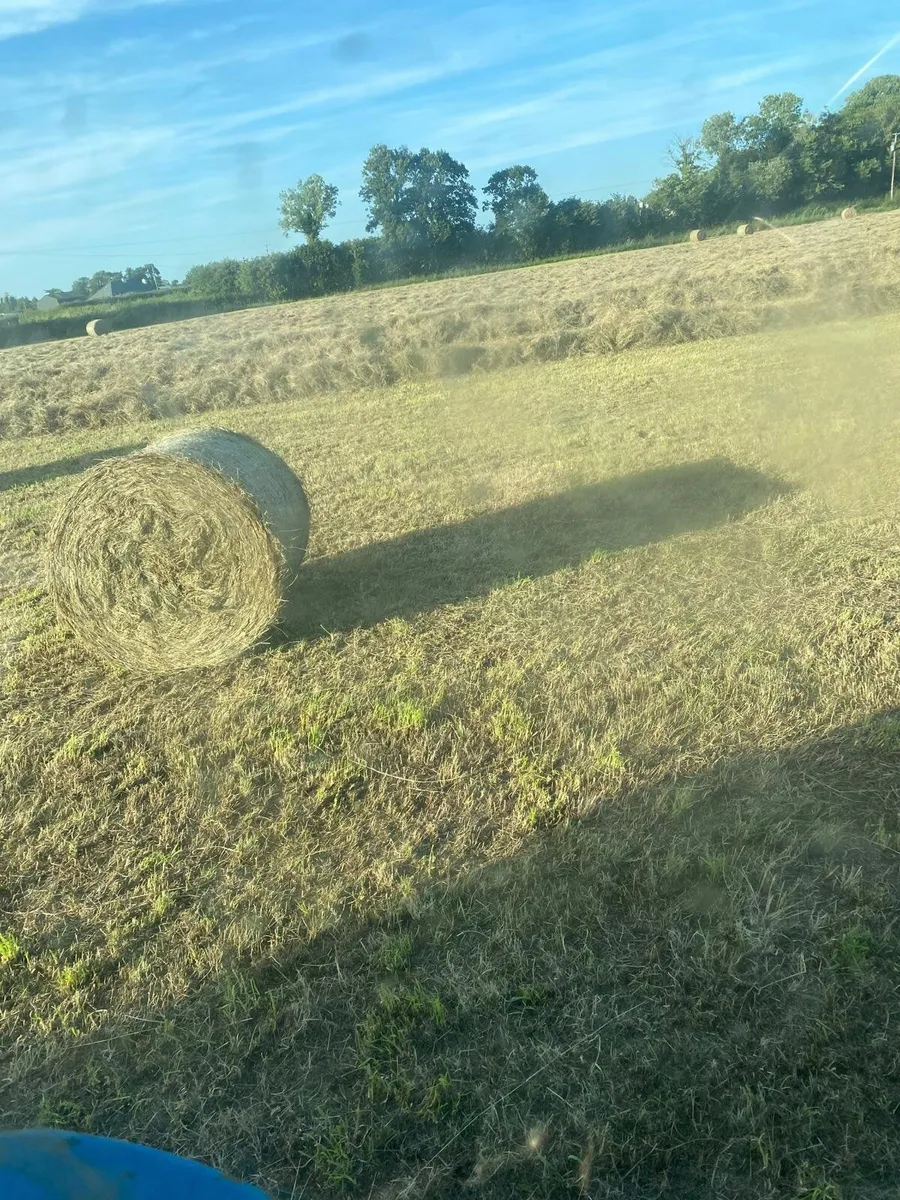 Hay For Sale - Image 2