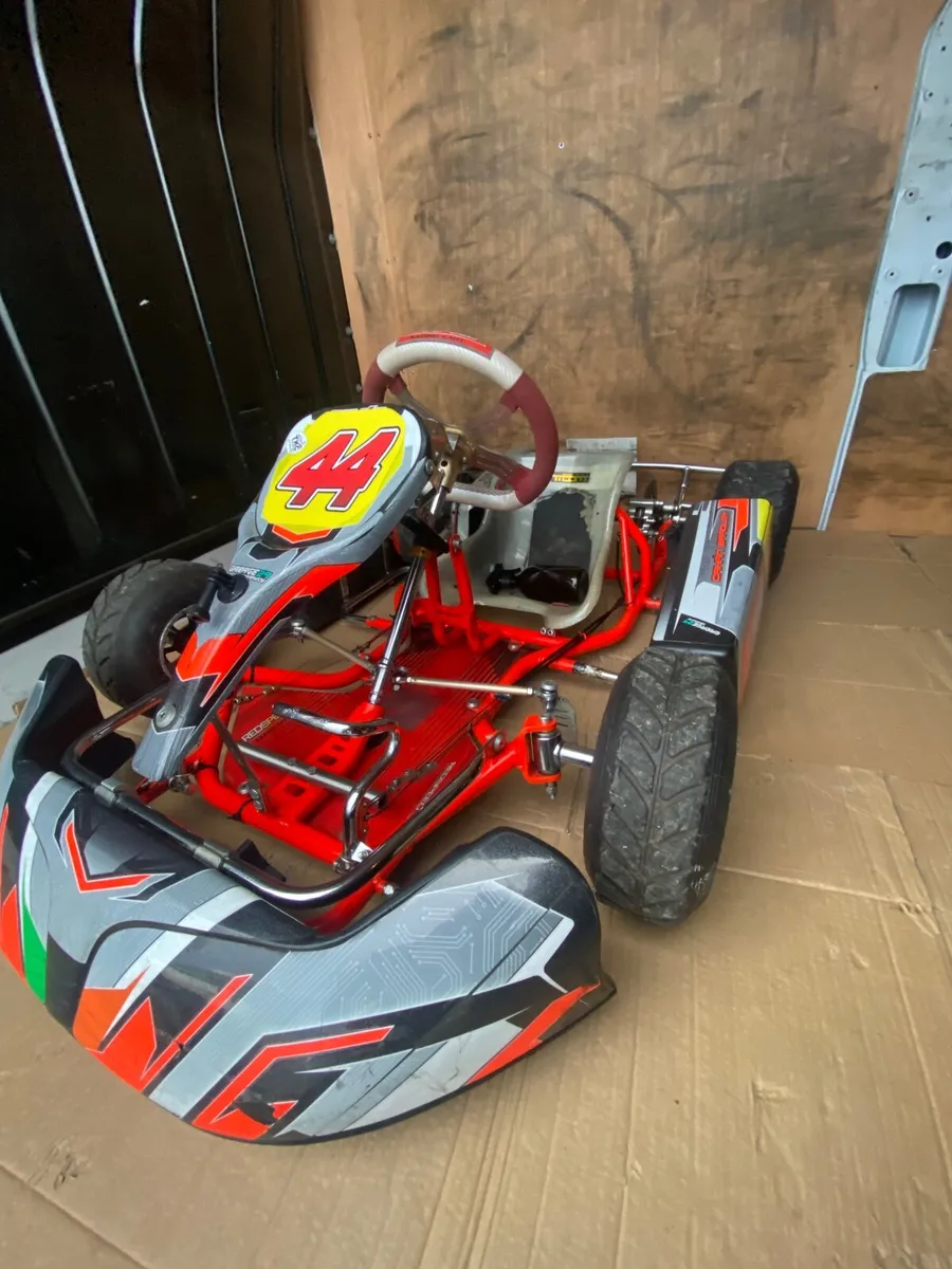 Bambino petrol race Go kart - Image 1