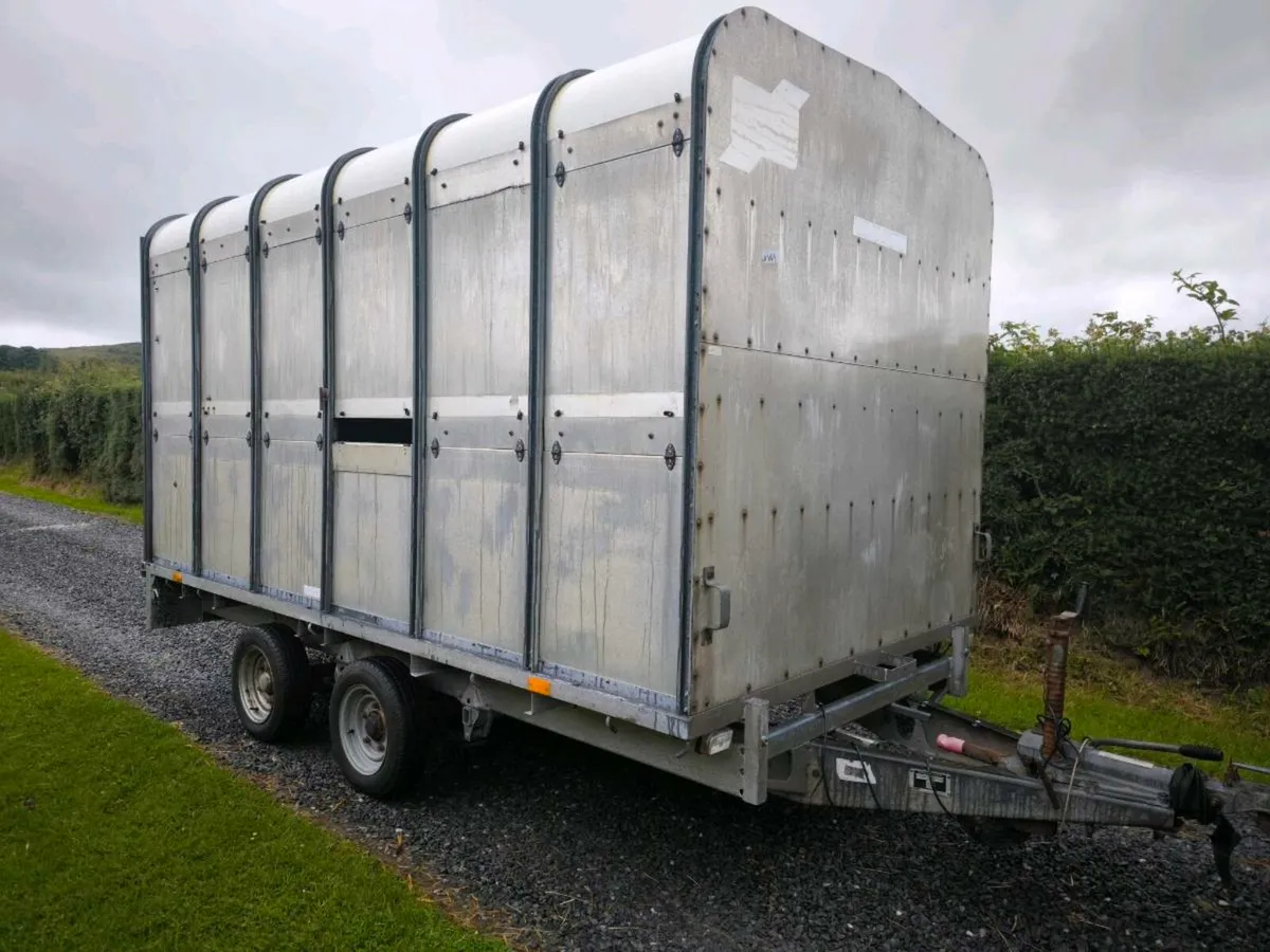 Ifor Williams dp120 12 foot cattle sheep trailer - Image 1