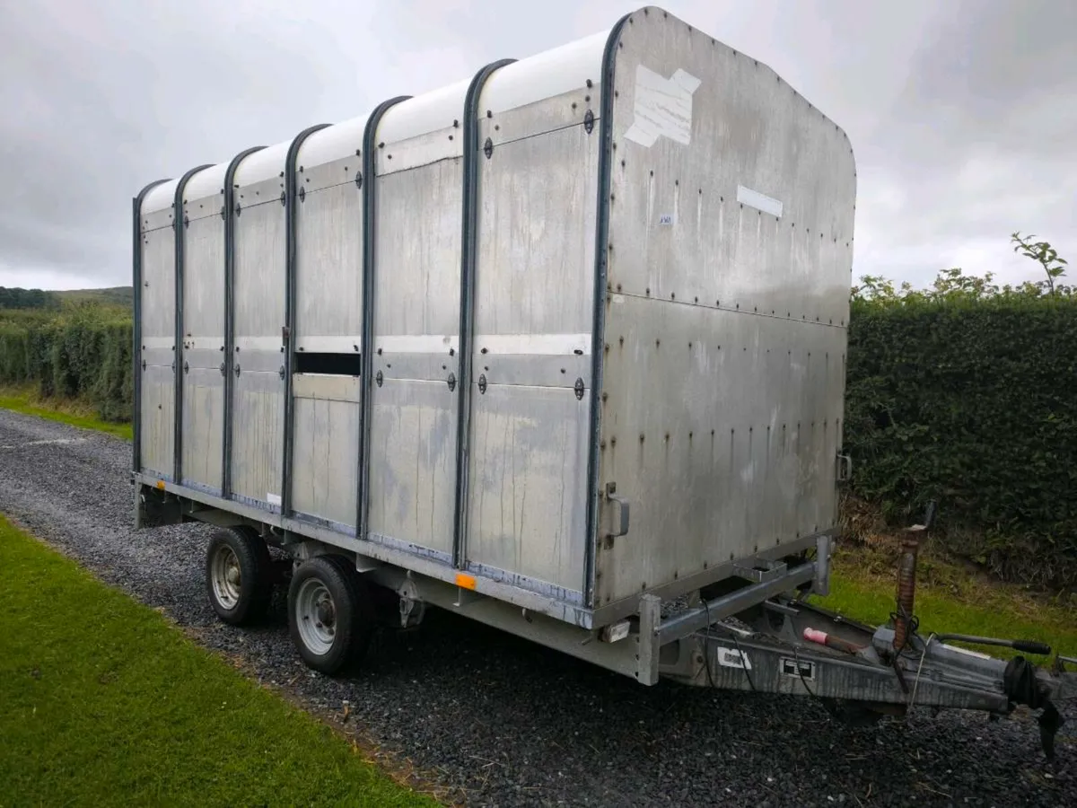 Ifor Williams dp120 12 foot cattle sheep trailer - Image 2