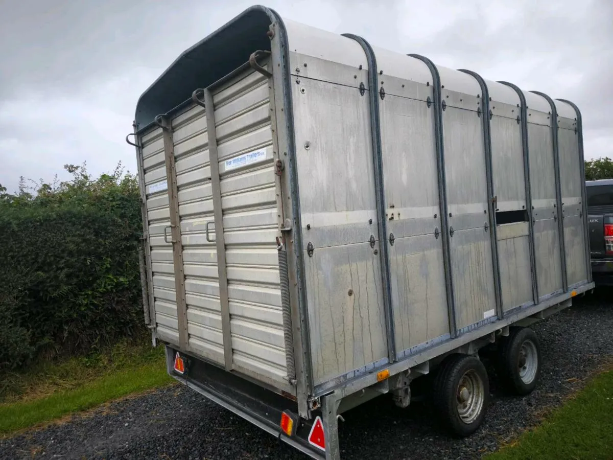 Ifor Williams dp120 12 foot cattle sheep trailer - Image 3