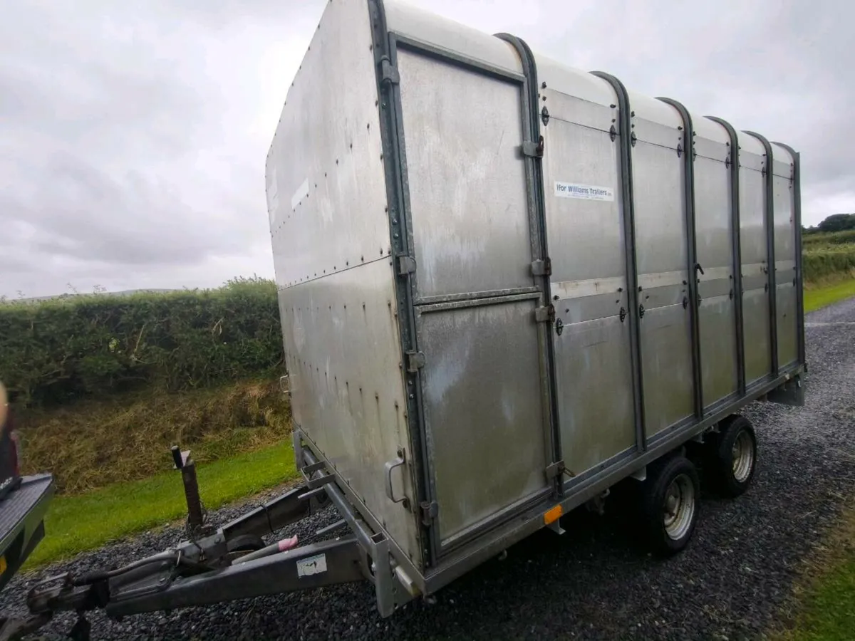 Ifor Williams dp120 12 foot cattle sheep trailer - Image 4